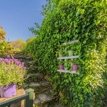 Holiday home Casale In Vigna, Cinqueterrecoast