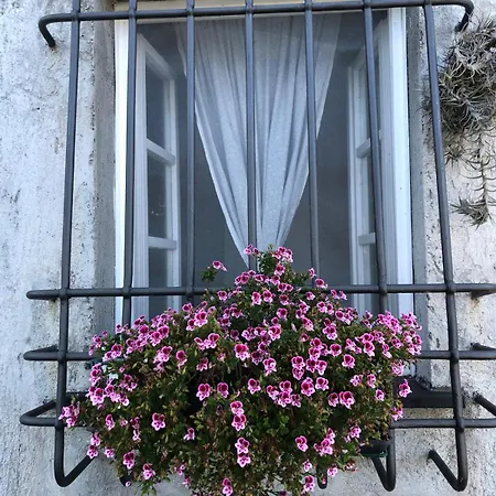 Holiday home Casale In Vigna, Cinqueterrecoast Casarza Ligure